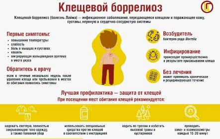 Что такое клещевой боррелиоз